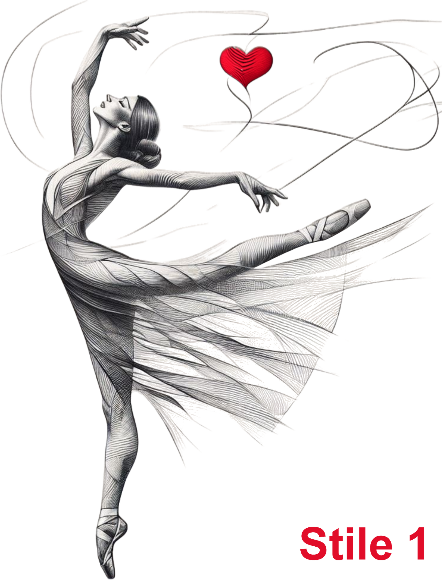 Tshirt Danza Collezione BN 2024