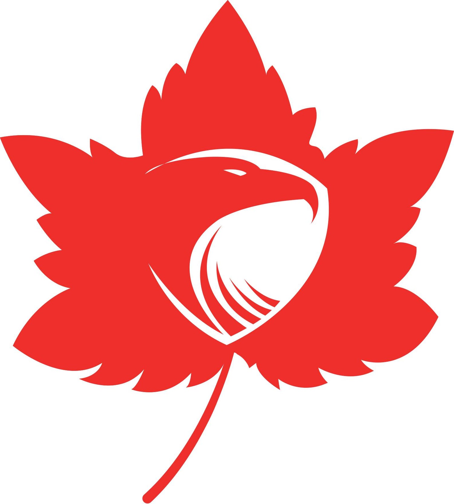 Gymnastic Romagna Team - ASD