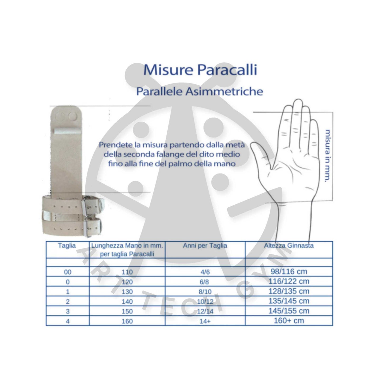 Paracalli Artistica Femminile